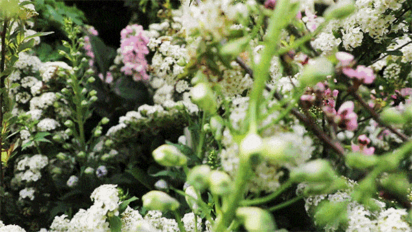 微信图片_20200605145339.gif